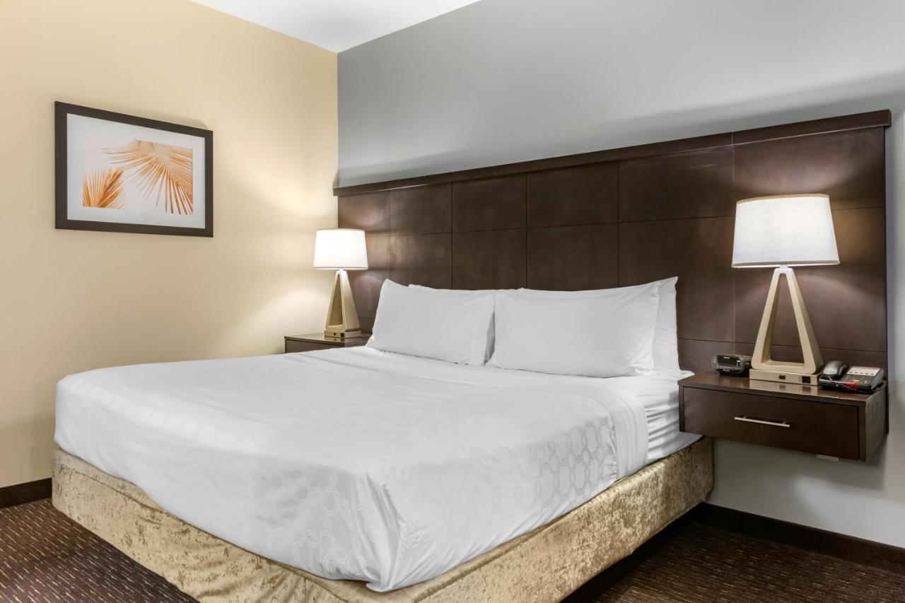 Staybridge Suites St. Petersburg Fl By Ihg Екстер'єр фото